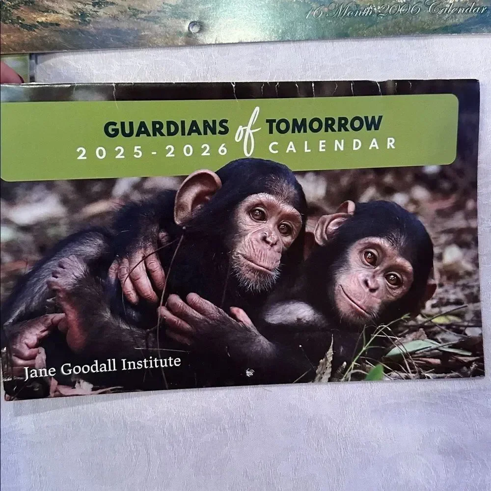 Calendars Collection for Scrapbooking Junk Journal Wall Art